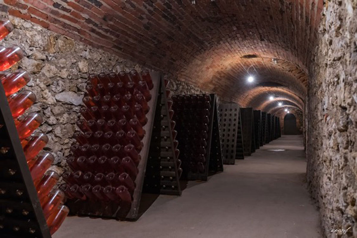 La cave Champagne Faucheron-Gavroy Tours sur Marne